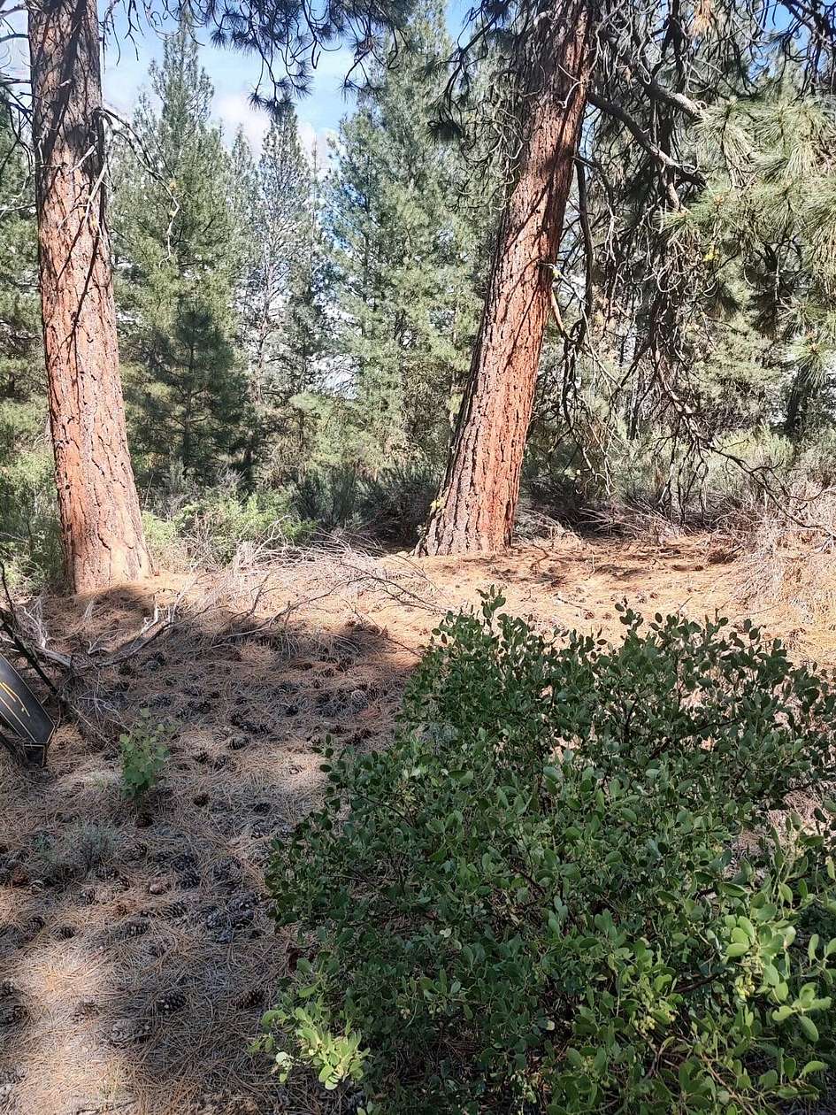 1.04 Acres of Residential Land for Sale in Chiloquin, Oregon