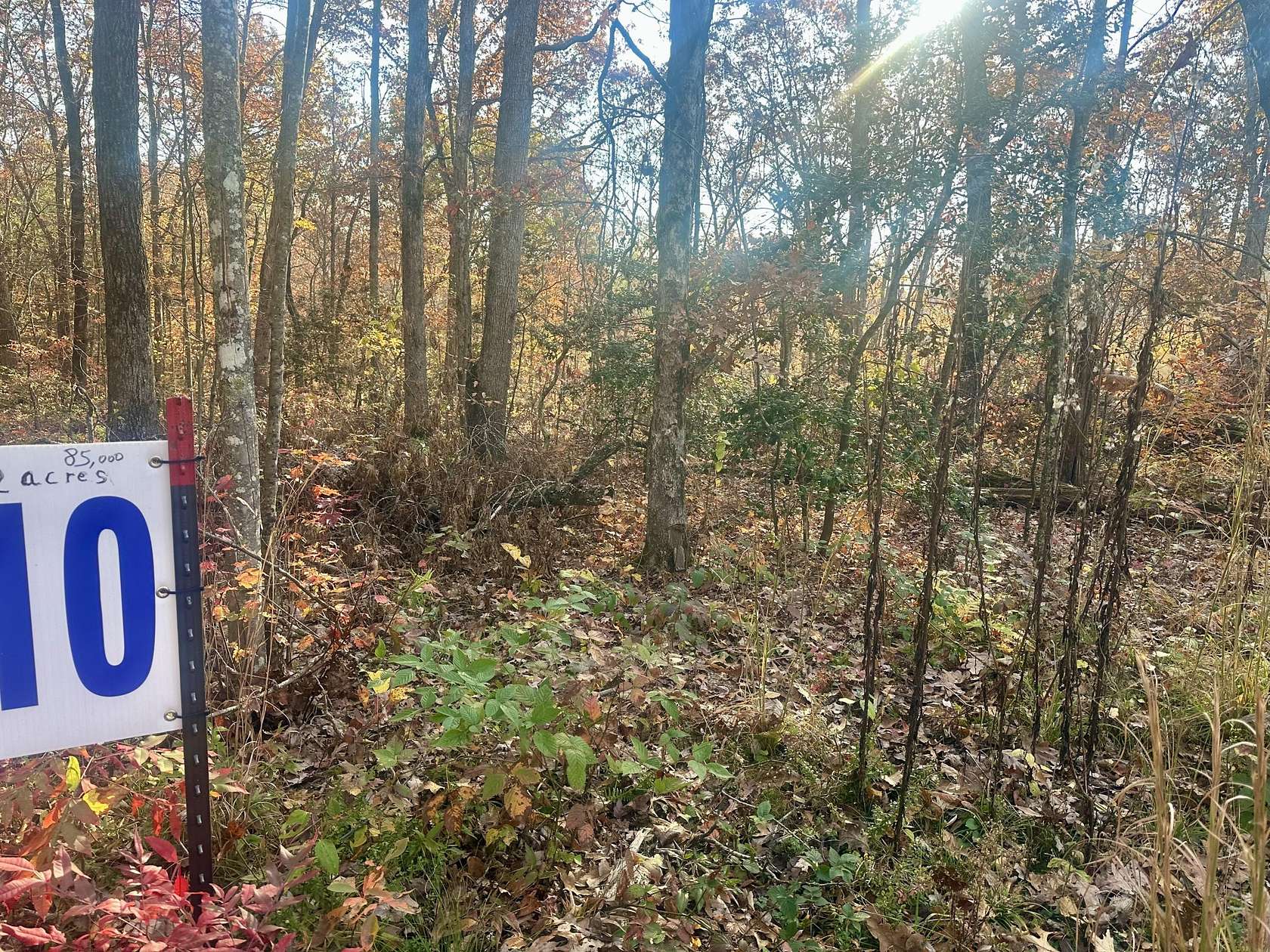 12 Acres of Land for Sale in Corbin, Kentucky