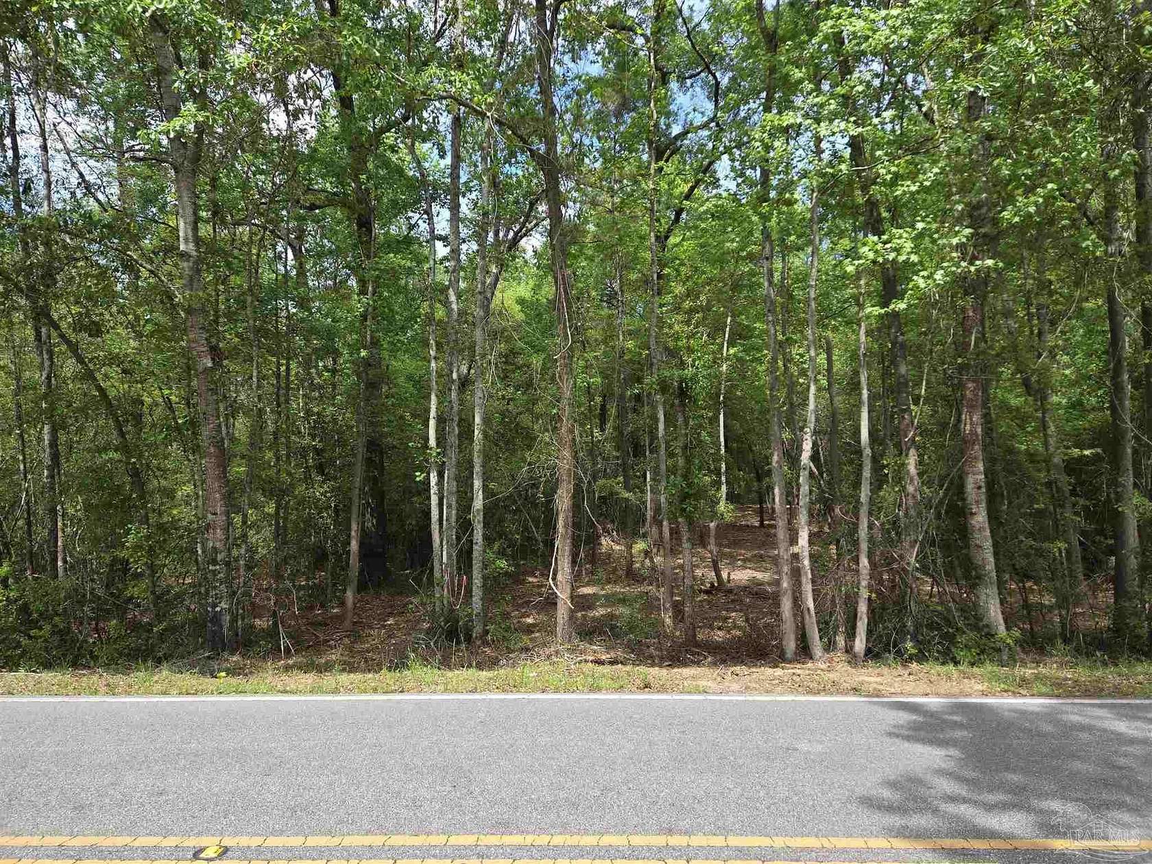26.67 Acres of Recreational Land for Sale in Flomaton, Alabama LandSearch