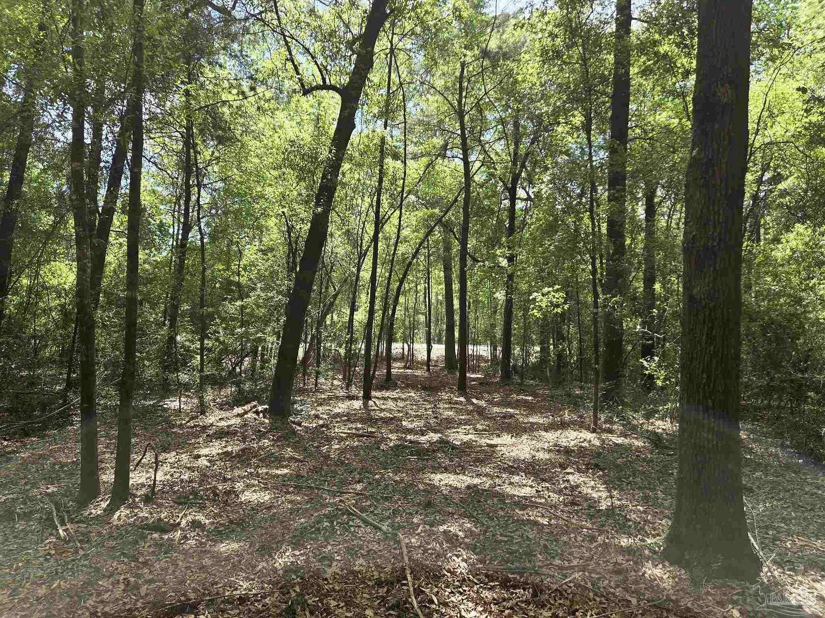 26.67 Acres of Recreational Land for Sale in Flomaton, Alabama