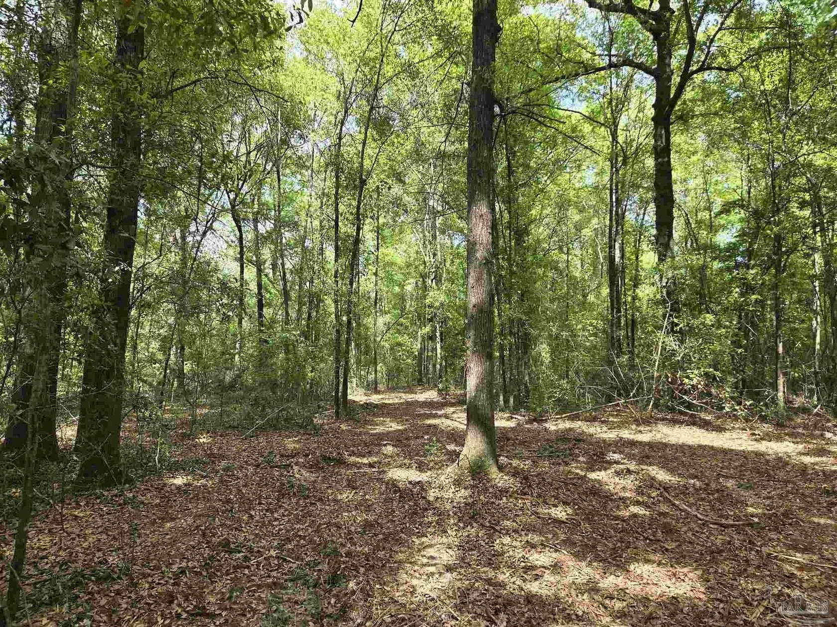 26.7 Acres of Recreational & Residential Land for Sale in Flomaton, Alabama