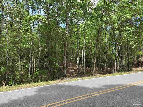 26.7 Acres of Recreational Land for Sale in Flomaton, Alabama