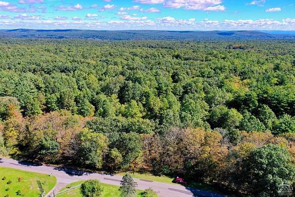 43.9 Acres of Land for Sale in Cairo, New York