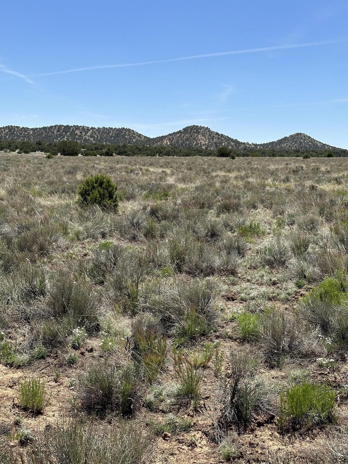 25.2 Acres of Land for Sale in Pie Town, New Mexico