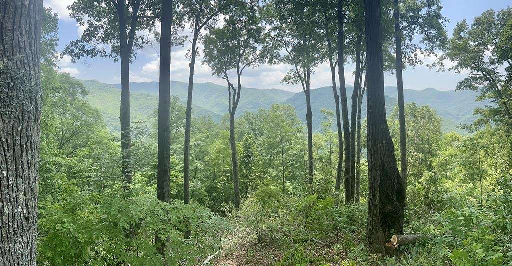 4.8 Acres of Residential Land for Sale in Bryson City, North Carolina
