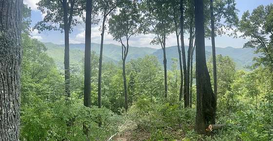 4.8 Acres of Residential Land for Sale in Bryson City, North Carolina