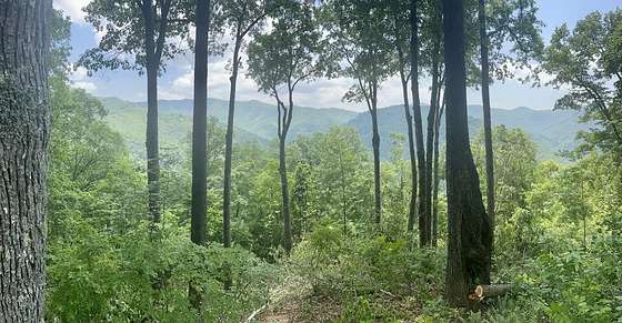 4.82 Acres of Residential Land for Sale in Bryson City, North Carolina