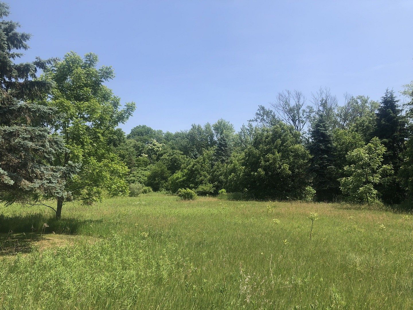 2.1 Acres of Residential Land for Sale in St Charles, Illinois