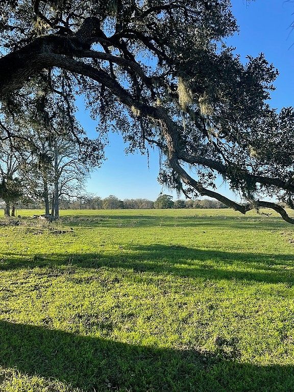 54 Acres of Agricultural Land for Sale in New Ulm, Texas
