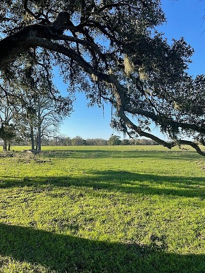 54 Acres of Agricultural Land for Sale in New Ulm, Texas