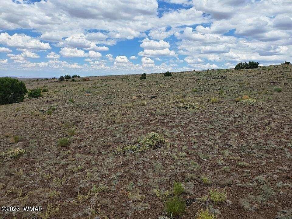 10.3 Acres of Recreational Land for Sale in Concho, Arizona