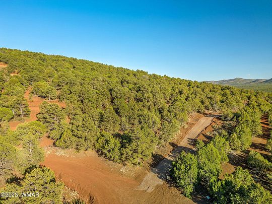 41.5 Acres of Land for Sale in Vernon, Arizona