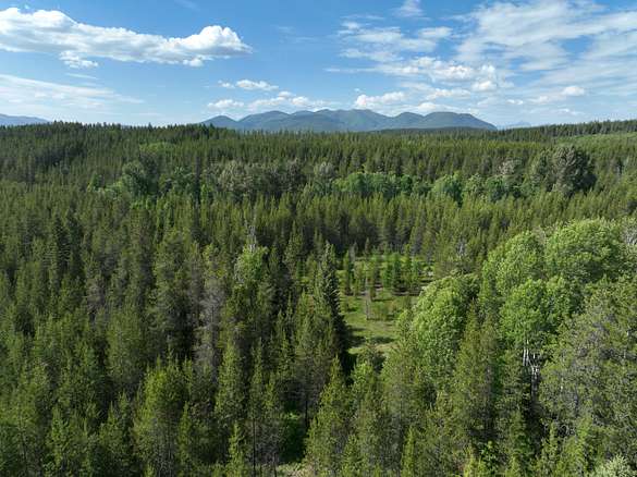 36.7 Acres of Recreational Land for Sale in Coram, Montana