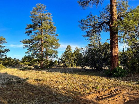 4,262 Acres of Recreational Land & Farm for Sale in El Morro, New Mexico