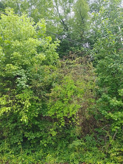 1.5 Acres of Residential Land for Sale in Middlesboro, Kentucky