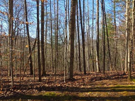 2.6 Acres of Residential Land for Sale in Otto, North Carolina