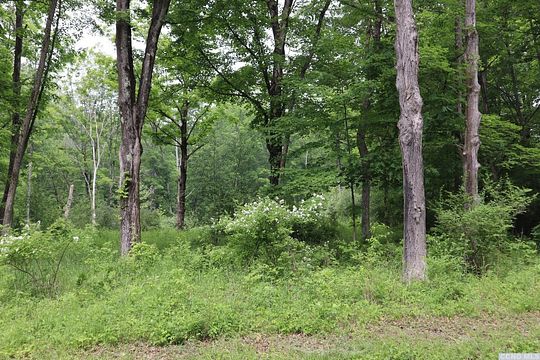 111 Acres of Agricultural Land for Sale in Gallatin Town, New York