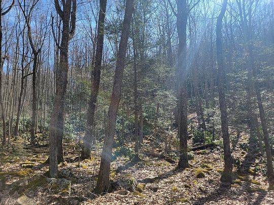 69.9 Acres of Land for Sale in Rocky Gap, Virginia