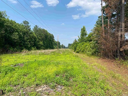 29.6 Acres of Recreational Land for Sale in Dillon, South Carolina