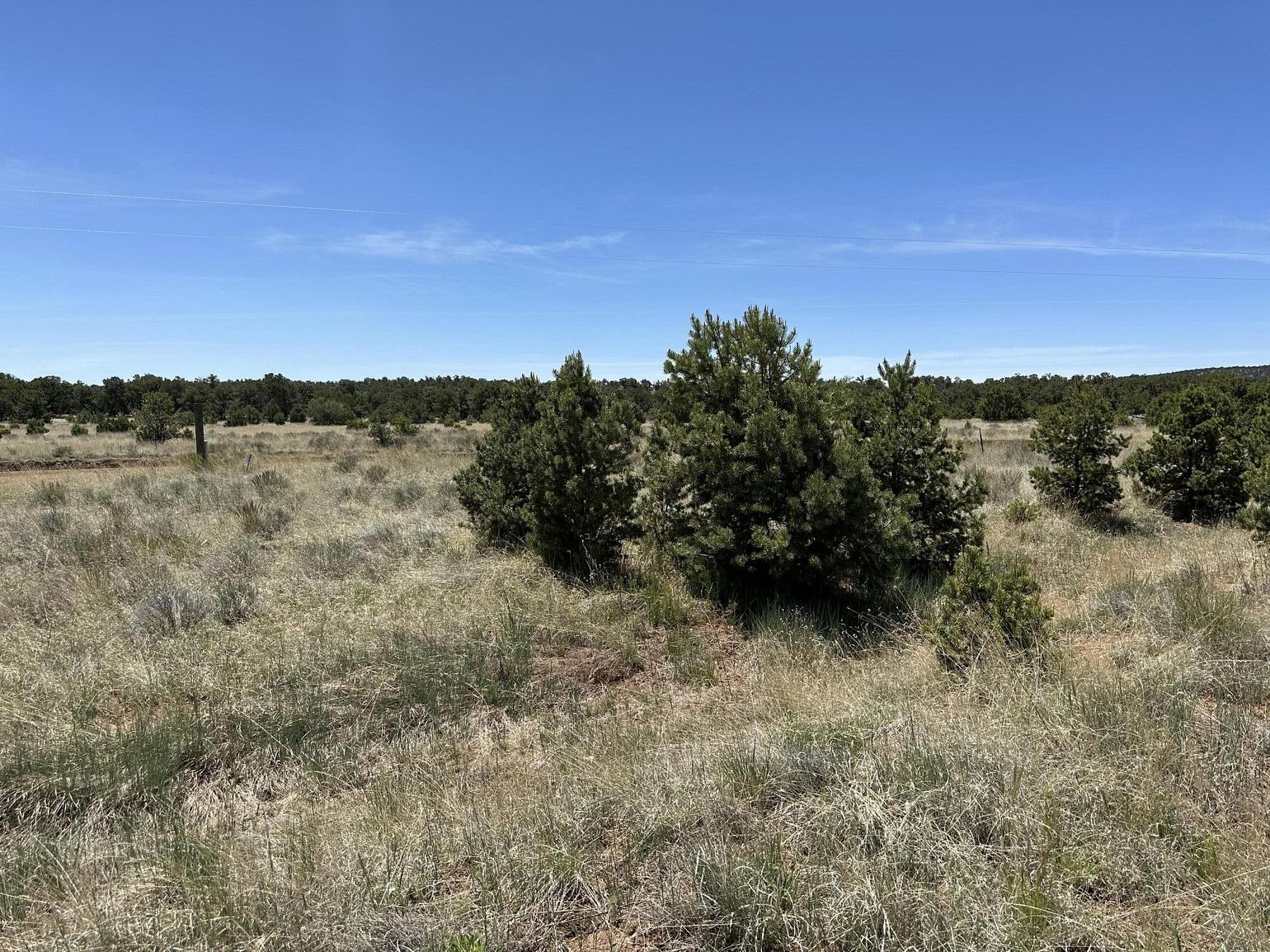 5.5 Acres of Land for Sale in Pie Town, New Mexico