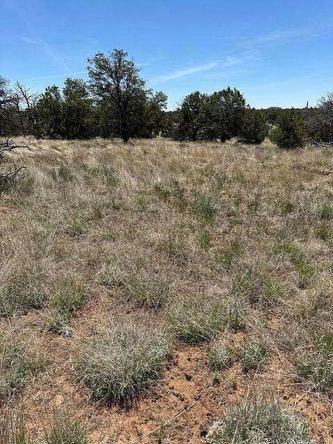 5.47 Acres of Residential Land for Sale in Pie Town, New Mexico