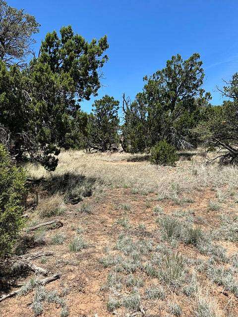 5.36 Acres of Residential Land for Sale in Pie Town, New Mexico