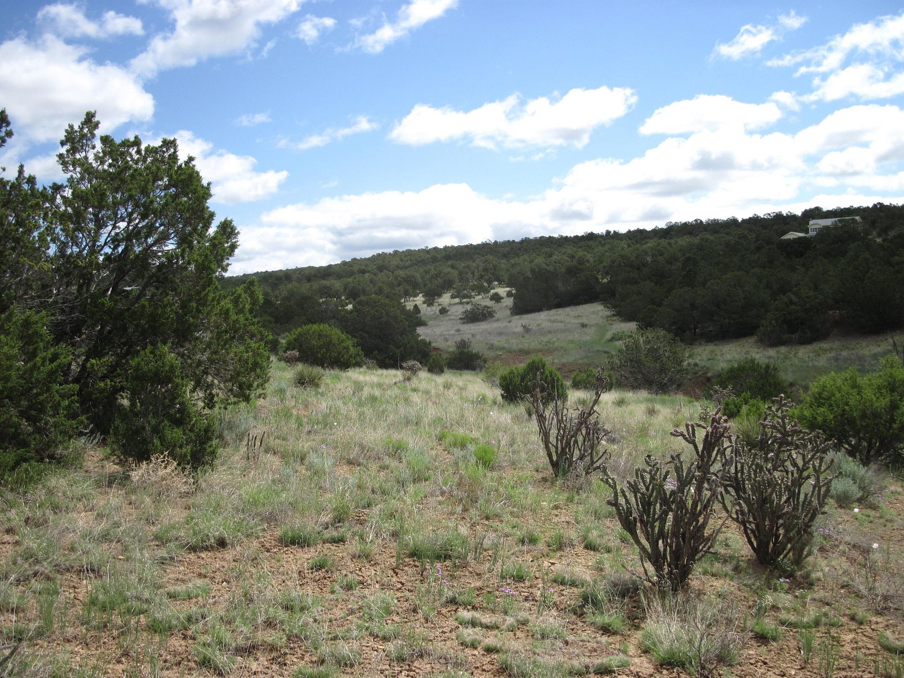 2 Acres of Residential Land for Sale in Tijeras, New Mexico