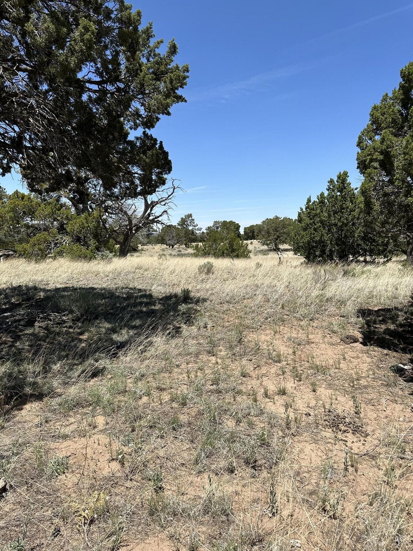14.5 Acres of Recreational Land for Sale in Pie Town, New Mexico