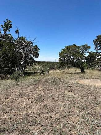 14.54 Acres of Recreational Land for Sale in Pie Town, New Mexico