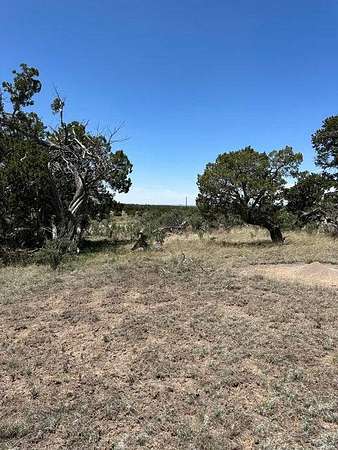 14.5 Acres of Recreational Land for Sale in Pie Town, New Mexico
