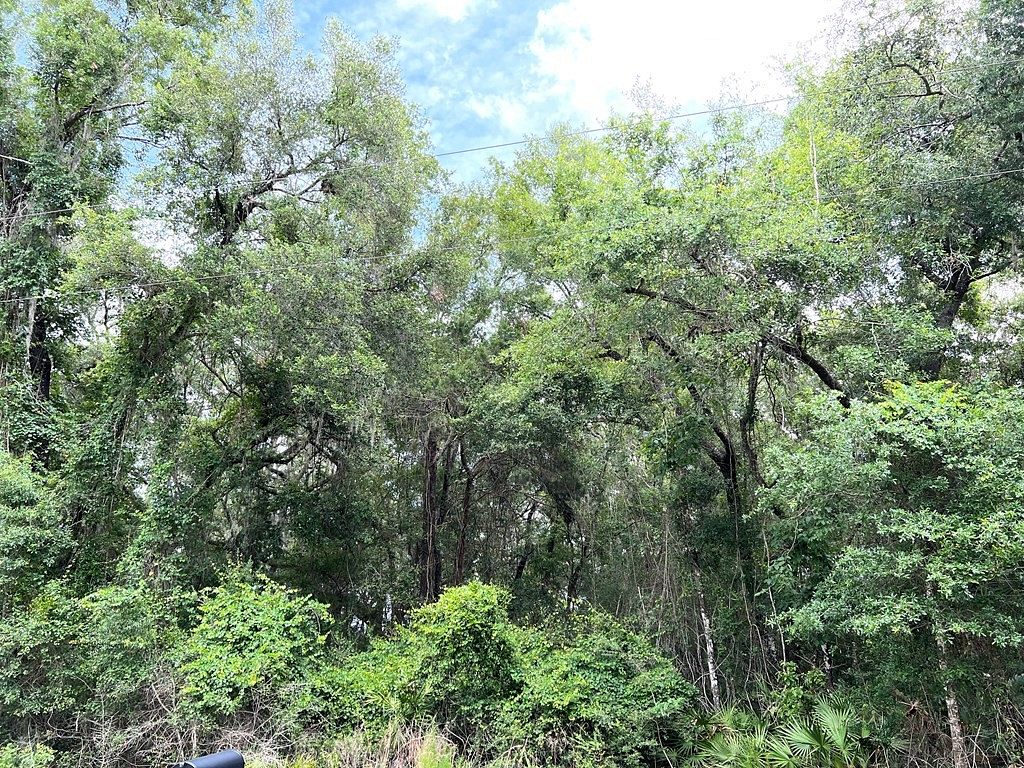 1 Acre of Land for Sale in Chiefland, Florida