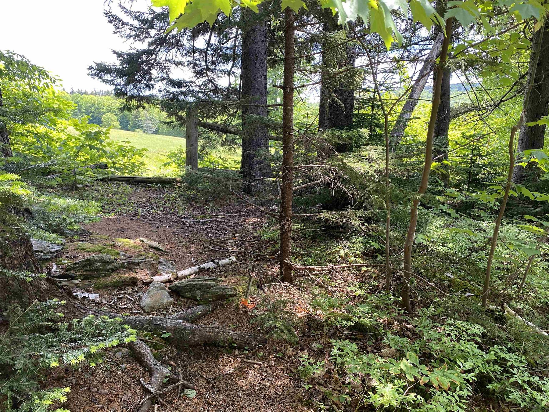 31 Acres of Land for Sale in Dover, Vermont