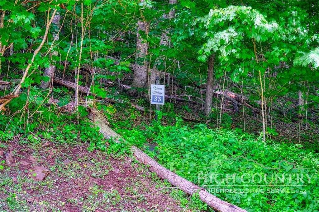 1 Acre of Residential Land for Sale in Fleetwood, North Carolina