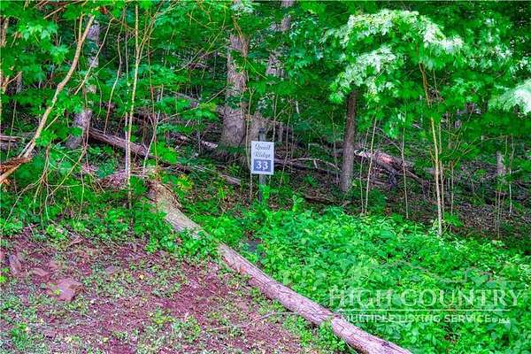 1 Acre of Residential Land for Sale in Fleetwood, North Carolina