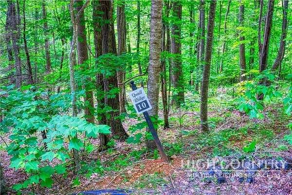 0.88 Acres of Residential Land for Sale in Fleetwood, North Carolina