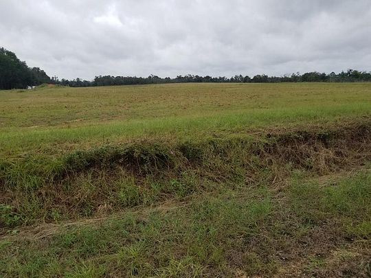 0.46 Acres of Residential Land for Sale in Cottonwood, Alabama