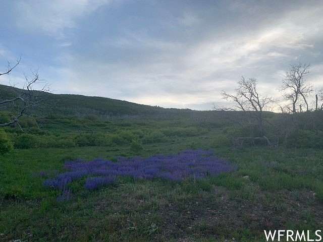 1.14 Acres of Residential Land for Sale in Indianola, Utah
