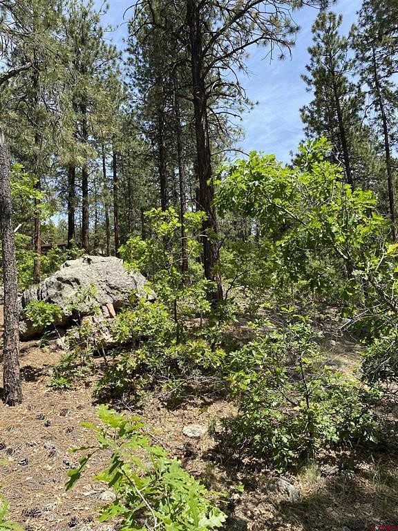 0.47 Acres of Residential Land for Sale in Durango, Colorado