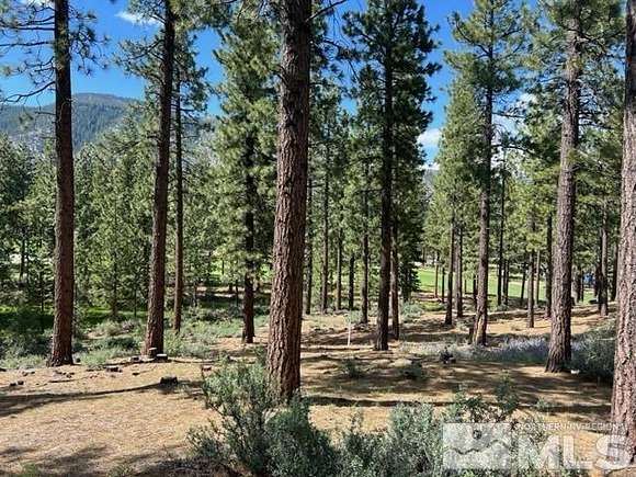 3.3 Acres of Residential Land for Sale in Carson City, Nevada