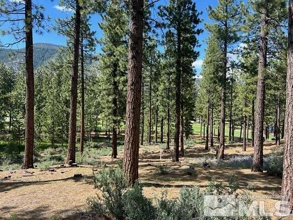 3.26 Acres of Residential Land for Sale in Carson City, Nevada