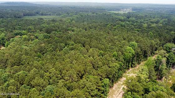 22.6 Acres of Land for Sale in Florence, Mississippi
