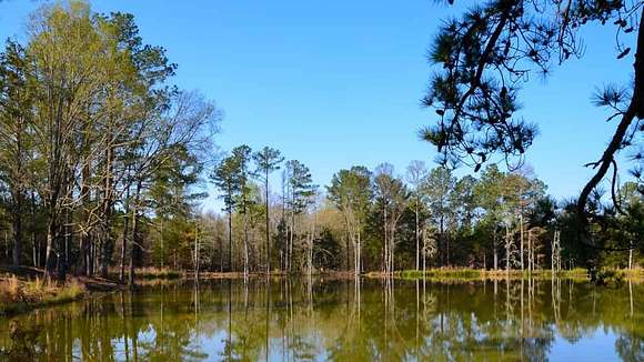639 Acres of Land for Sale in Carlisle, South Carolina