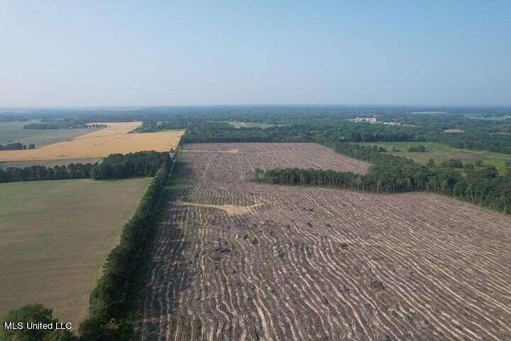 117 Acres of Land for Sale in Morton, Mississippi