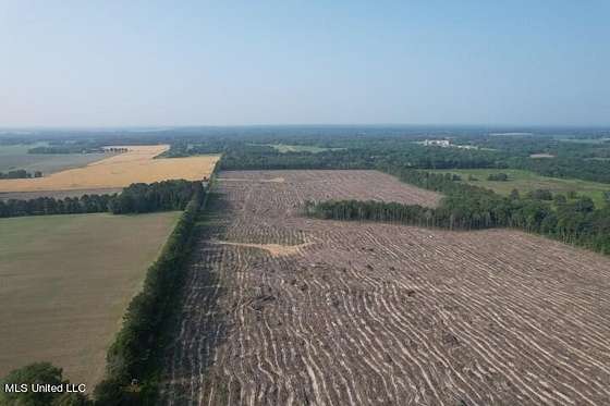 117 Acres of Agricultural Land for Sale in Morton, Mississippi