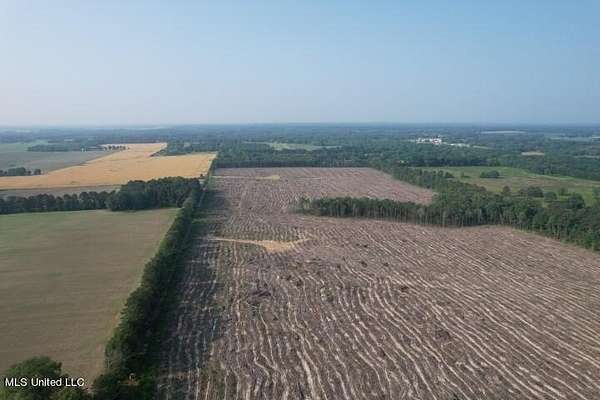 117 Acres of Land for Sale in Morton, Mississippi
