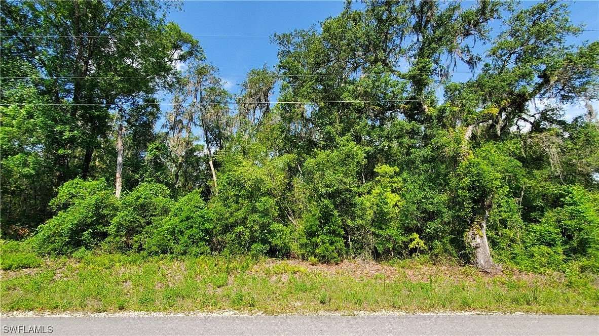 0.46 Acres of Land for Sale in Webster, Florida