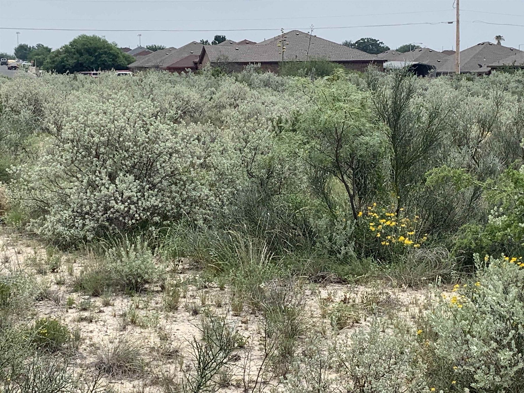 0.21 Acres of Residential Land for Sale in Del Rio, Texas