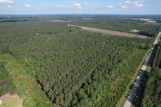 102 Acres of Recreational Land for Sale in Lake City, South Carolina ...