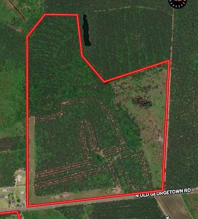 102 Acres of Recreational Land for Sale in Lake City, South Carolina