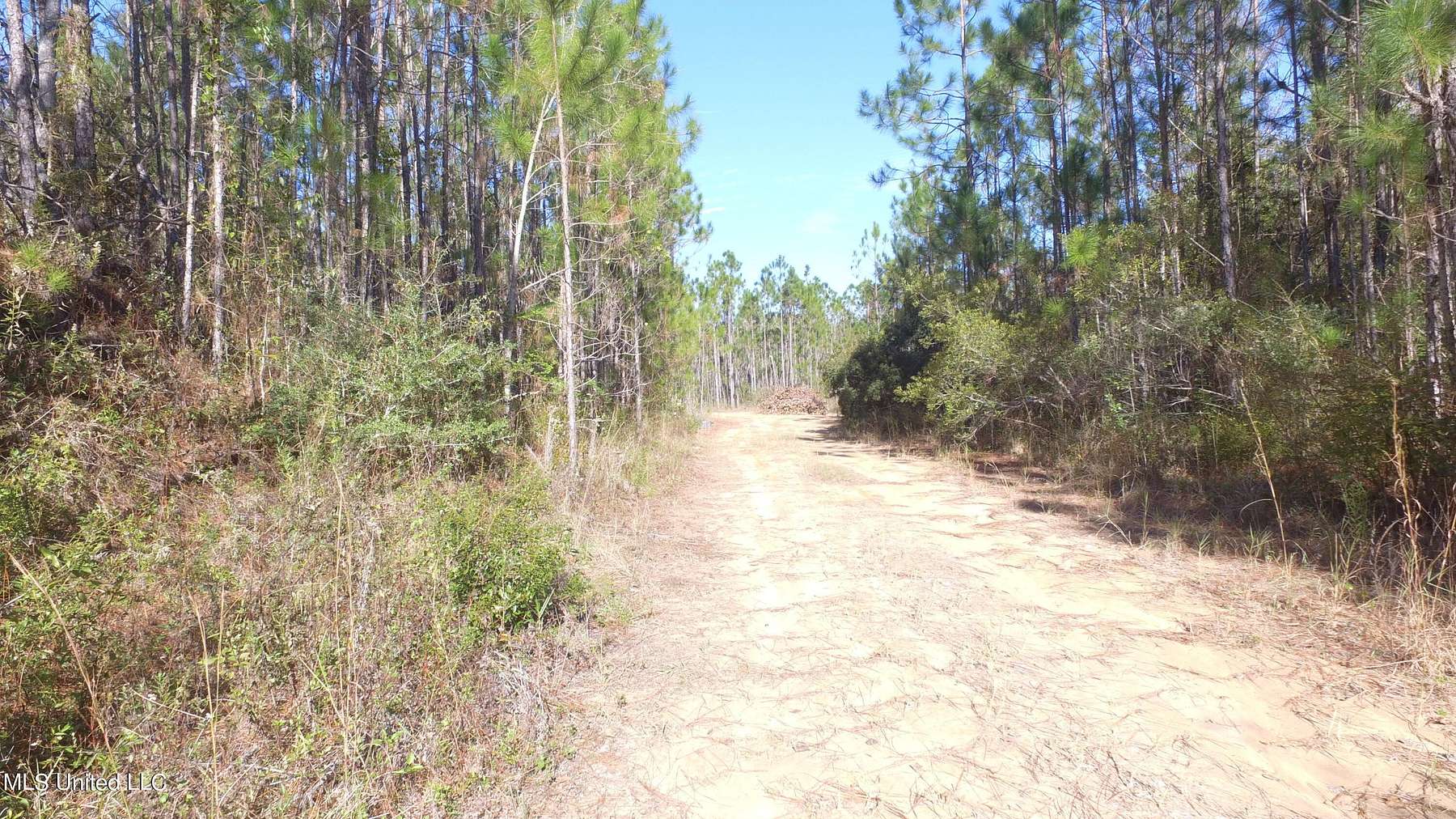 7.8 Acres of Residential Land for Sale in Gulfport, Mississippi